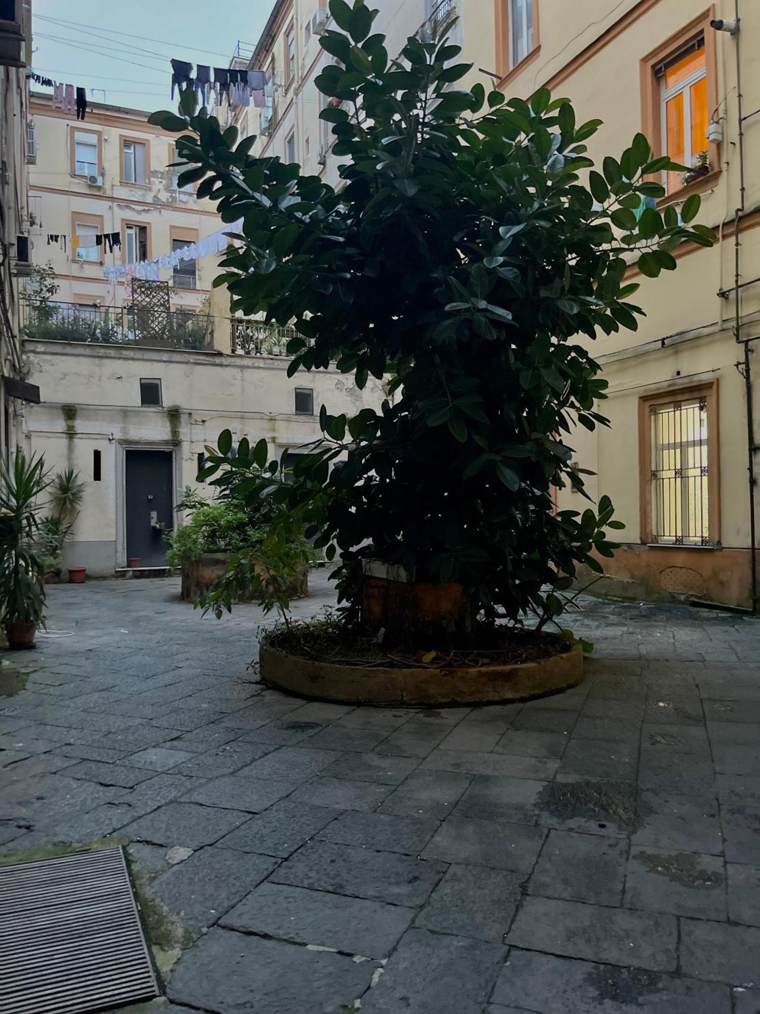 Momarooms Naples Extérieur photo